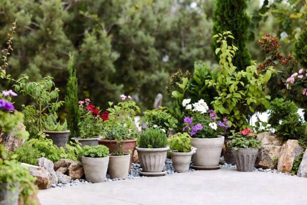 Como Organizar Seu Jardim Pequeno